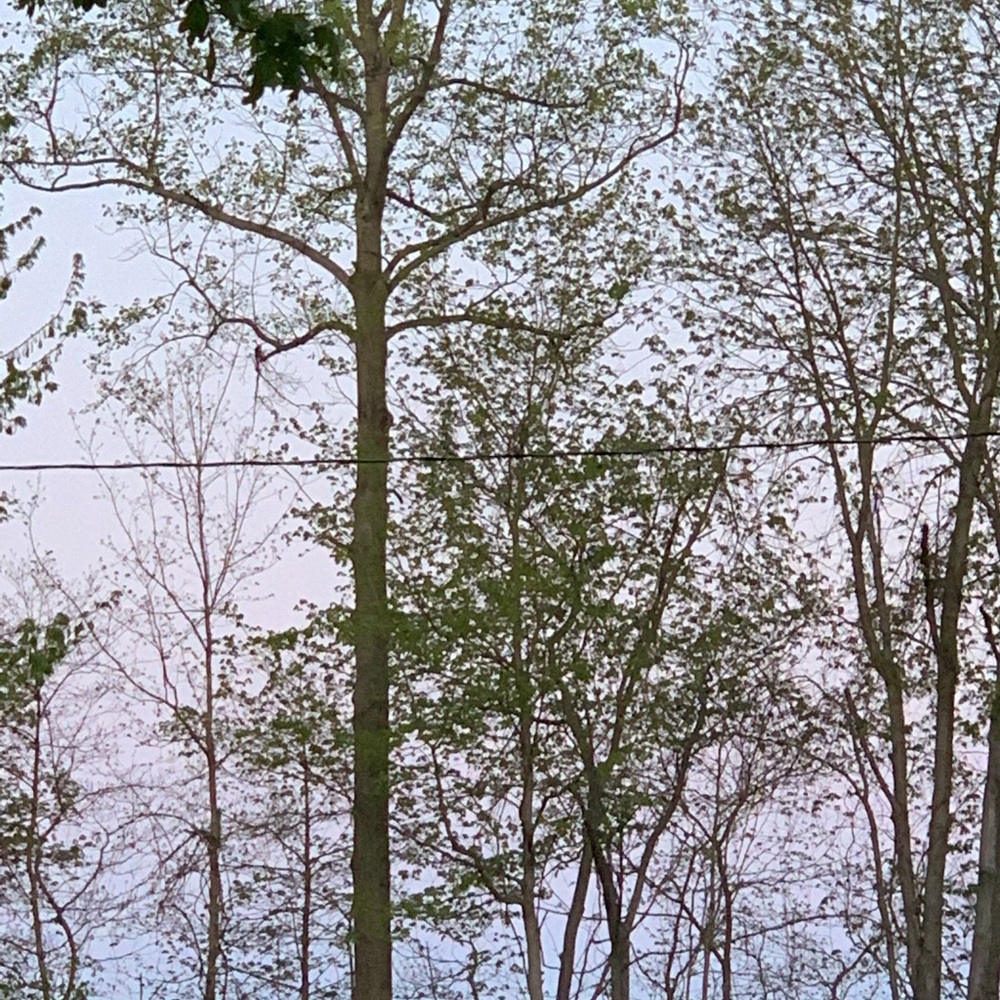 Meet your Posher, Jacada